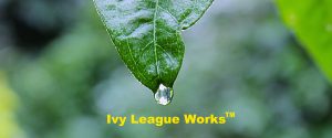 IvyLeagueWorks for Your Consulting Services, Veterans or Medical Writing needs!